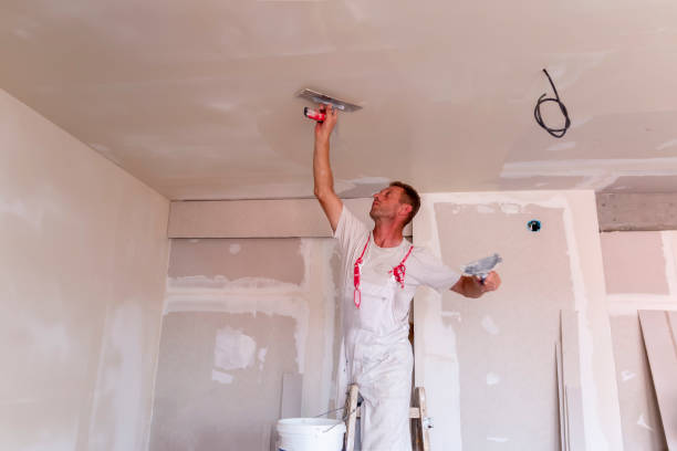 Best Drywall for New Construction  in Firestone, CO